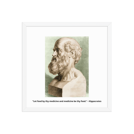 HIPPOCRATES FATHER OF MEDICINE ART