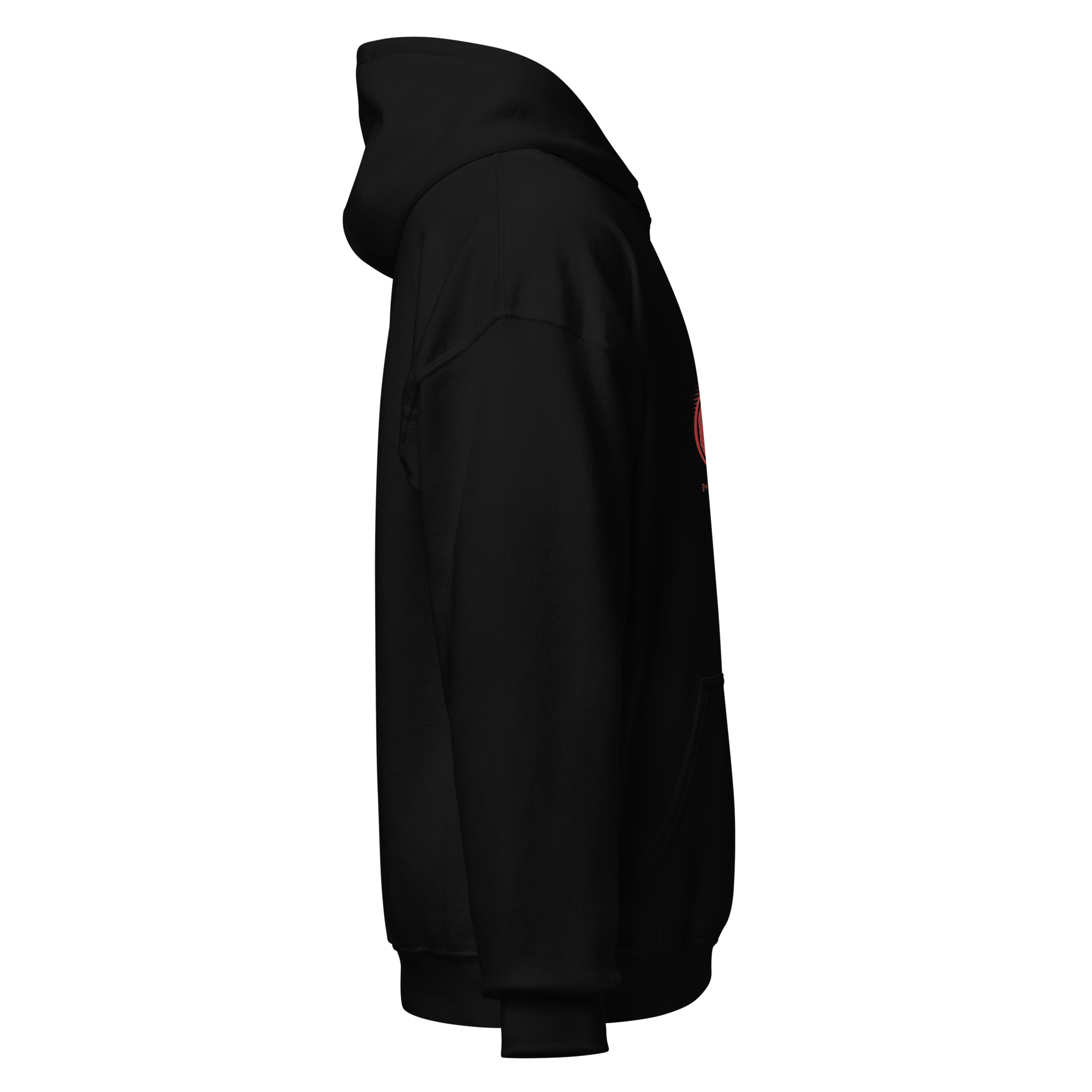 AMG AMBITIOUS MINDS HOODIE