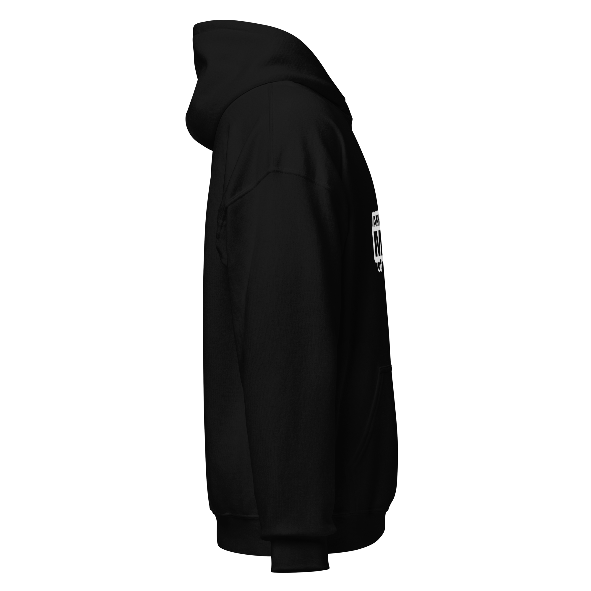 AMG BIG ARTISAN HOODIE